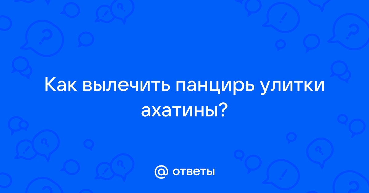 Улитариум - улитки ахатины, виды ахатин, кормление ахатин, правила содержания и лечение