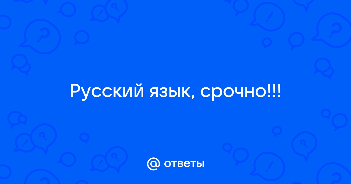 Взоры гостей привлекали развешанные картины по стенам дома