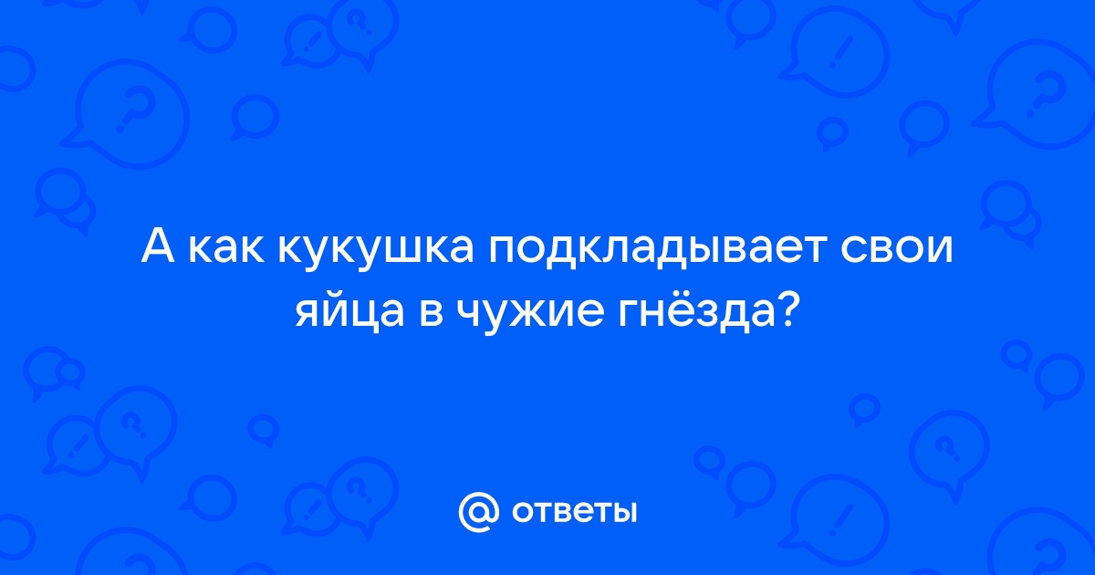 Почему кукушка подбрасывает свои яйца в чужие гнёзда?