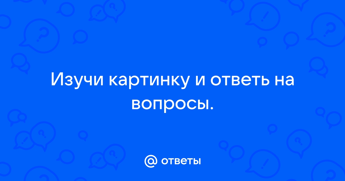 Изучи картинку и ответь на вопросы эта среда жизни носит название