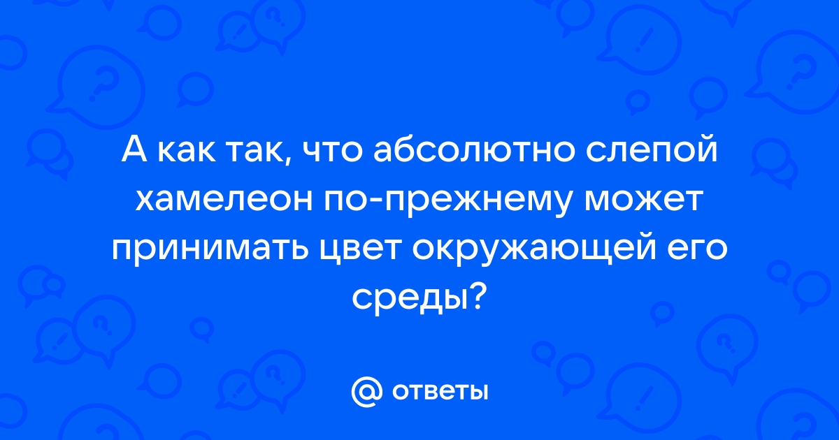 В голове моей родилось подозрение что этот слепой не так слеп как оно кажется