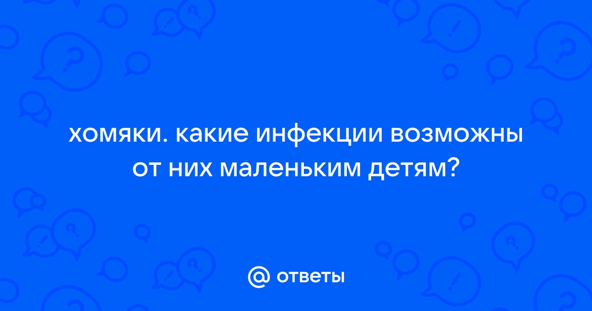 ХОМЯЧЬИ ХВОРИ неинфекционные заболевания — Статьи - Компания Фауна. Днепропетровск