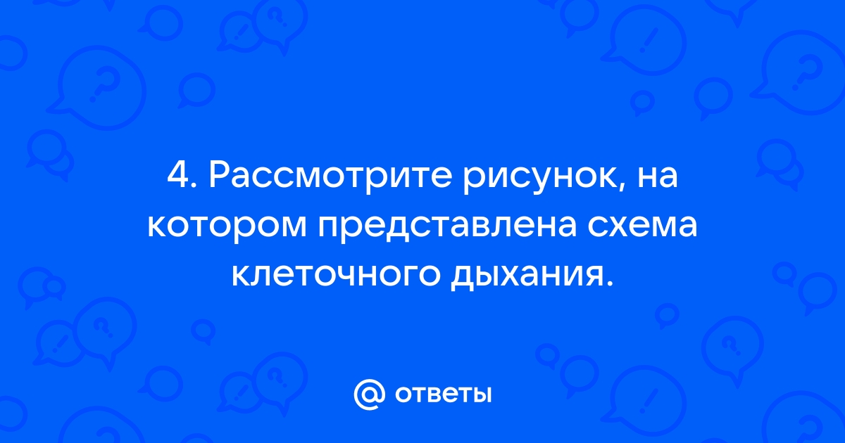 Рассмотрите рисунок на котором представлена схема клеточного дыхания