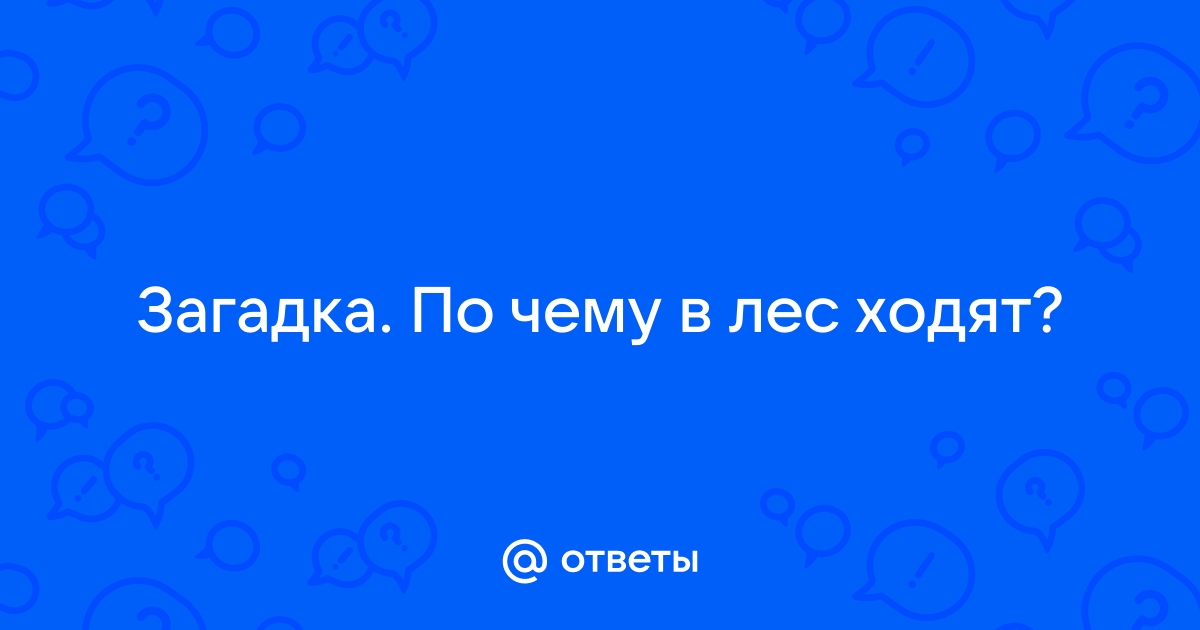 Викторина «Загадки в лесу — на каждом шагу»