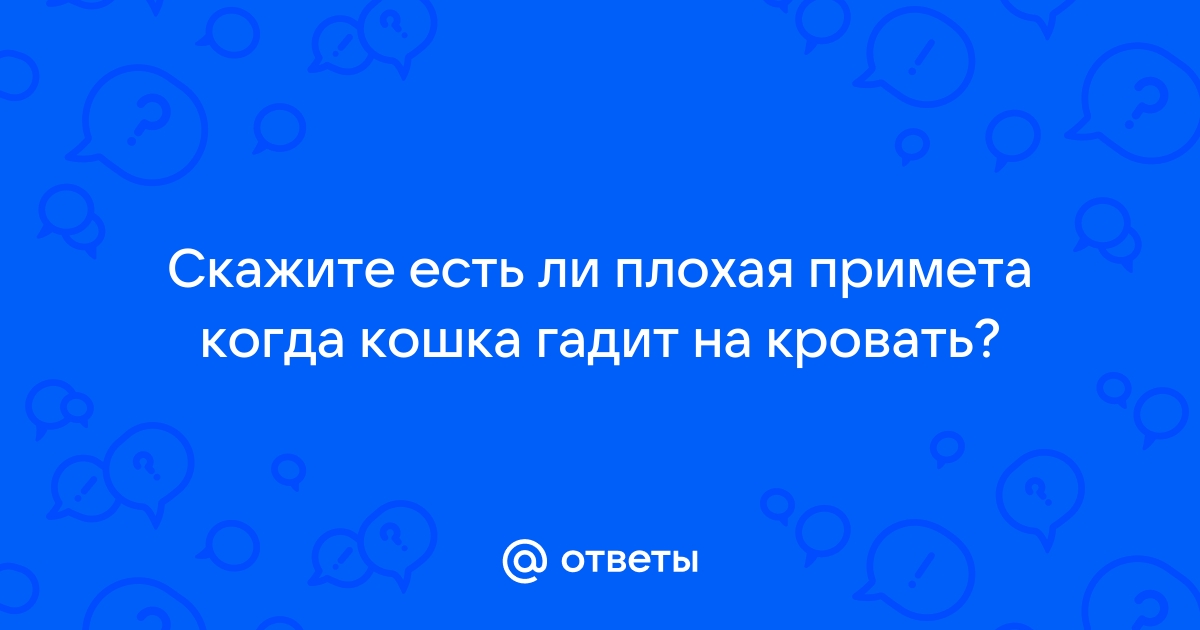 Как отучить кошку гадить на кровать: работающие советы