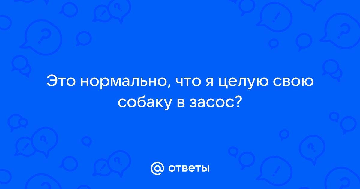 Как правильно наказывать собаку, не прибегая к физической силе