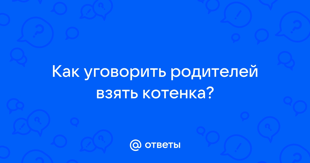 Как уговорить родителей взять с собой ноутбук