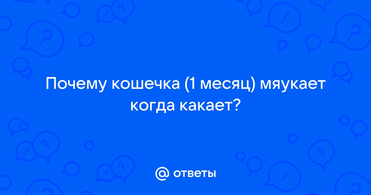 Почему котенок мяукает, когда ходит в туалет?