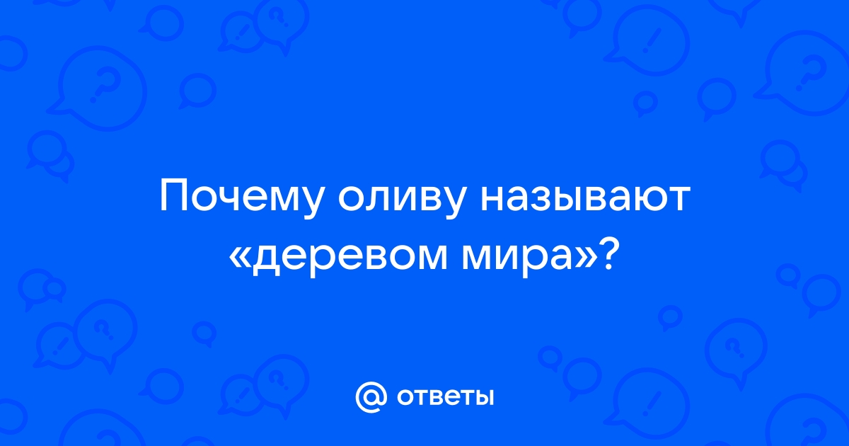 Презентация 