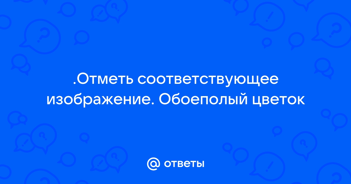 Отметь соответствующее изображение женский цветок