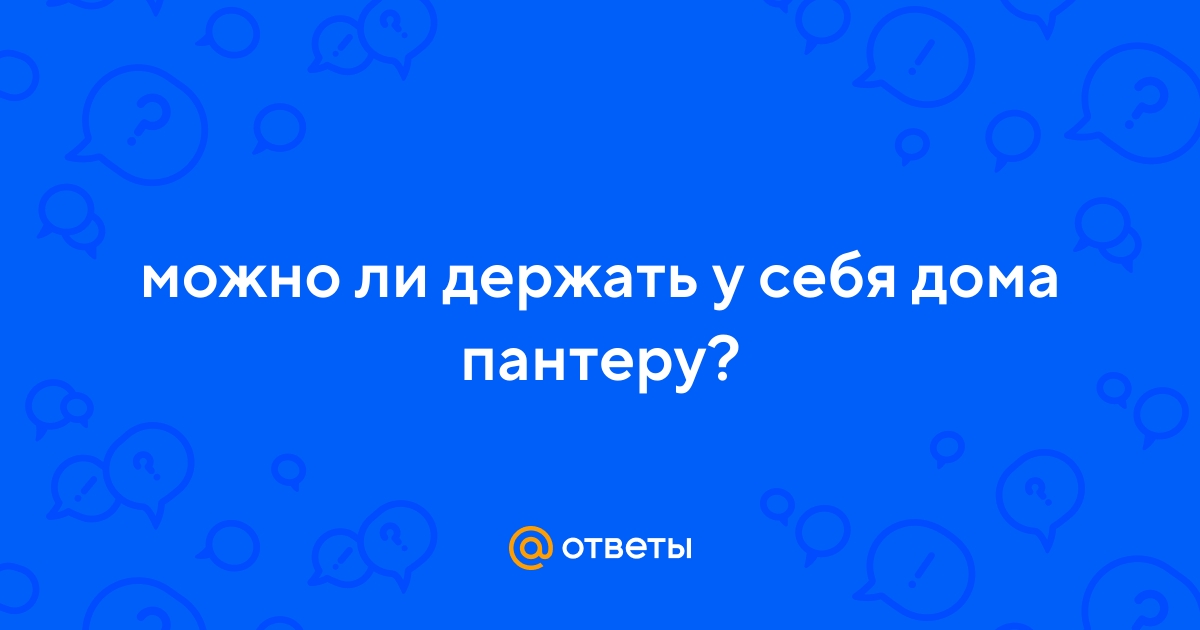 Ответы Mail.ru: можно ли держать у себя дома пантеру?