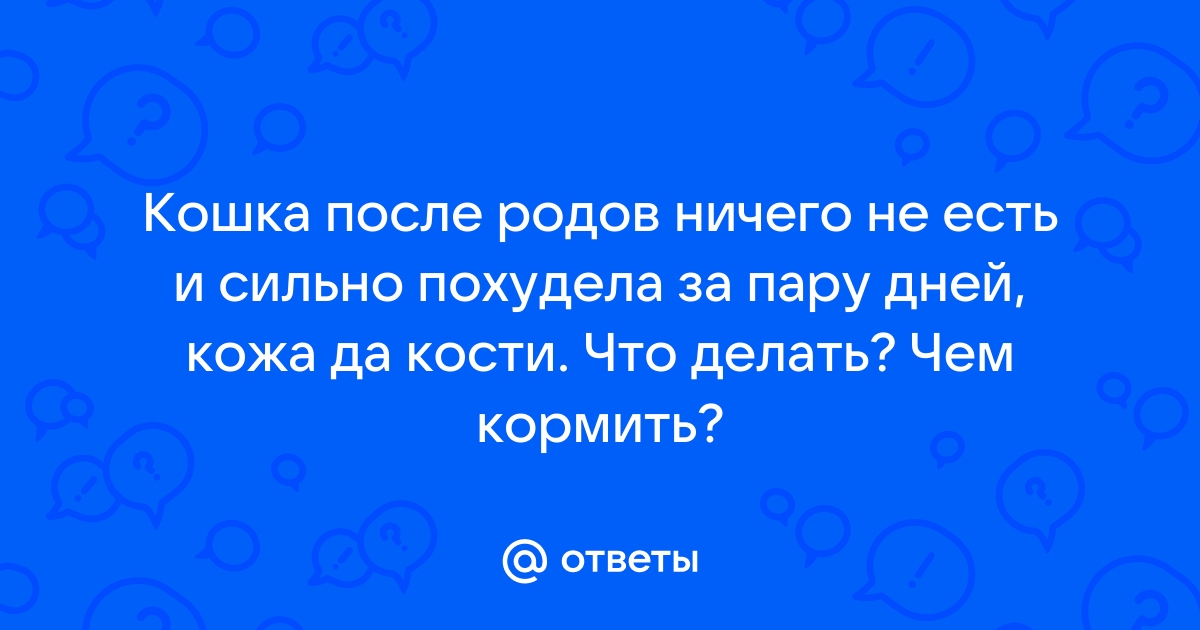 Почему кошка худеет?