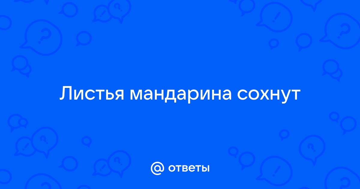 Болезни мандарина: почему у мандарина желтеют, сохнут или опадают листья