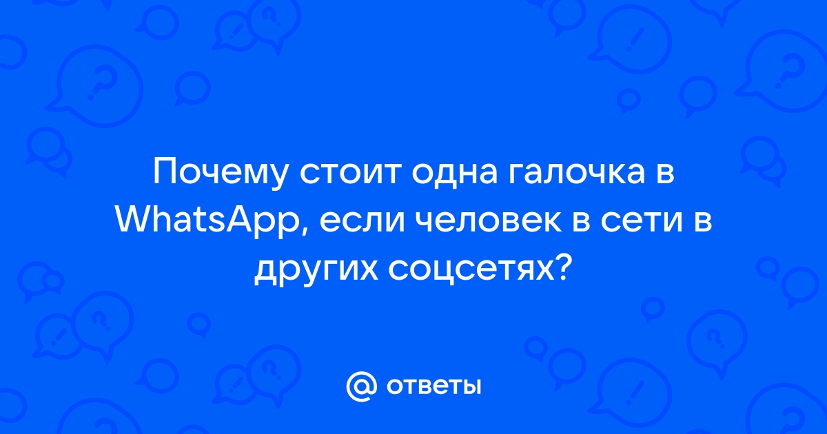 Что значат галочки в WhatsApp в сообщениях?