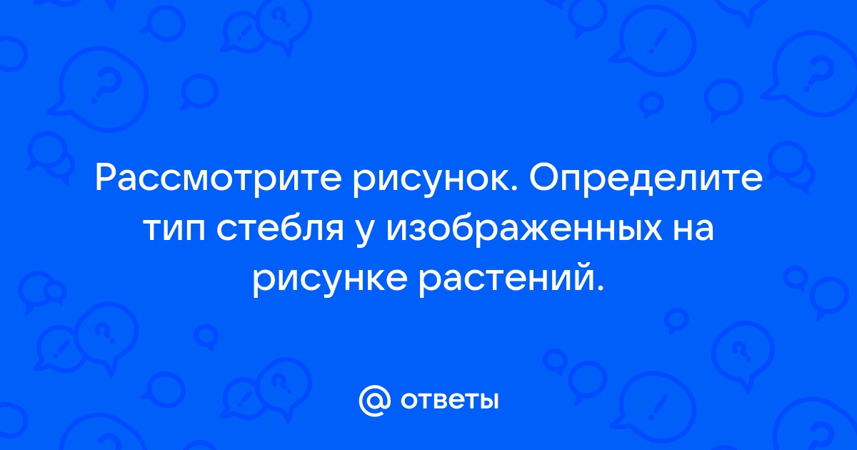 Назовите тип речных террас изображенных на рисунке