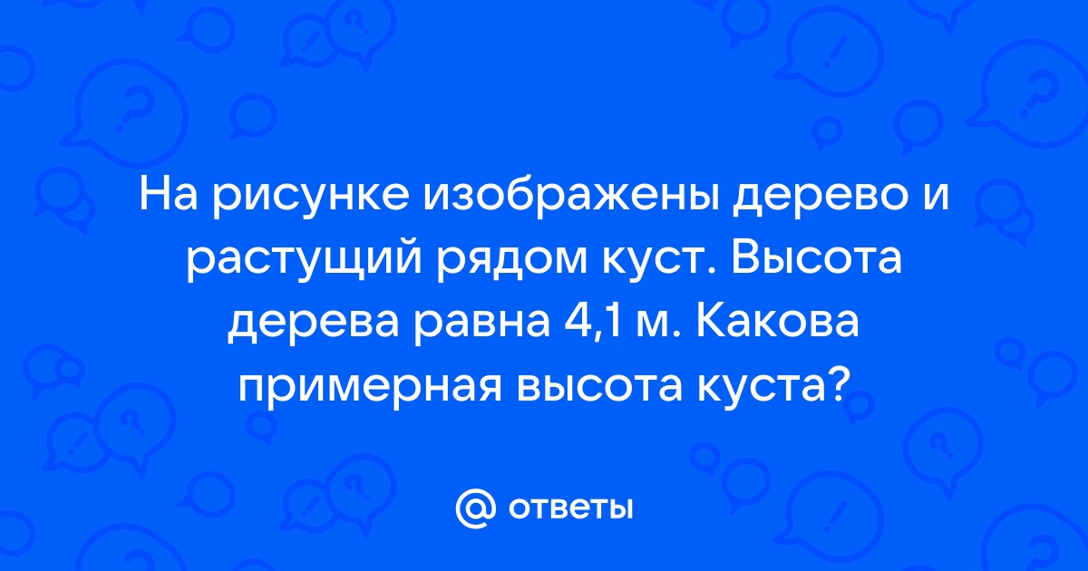 На рисунке изображены здание и стоящее рядом дерево высота дерева равна 10 м