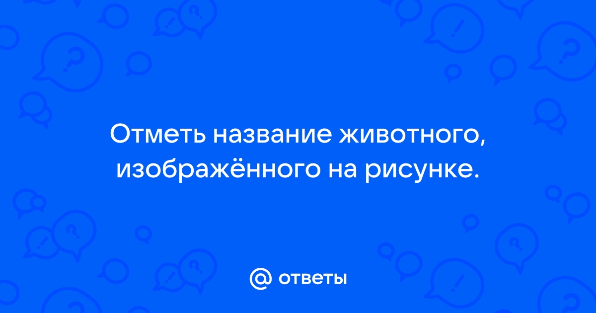 Отметь название животного изображенного на рисунке