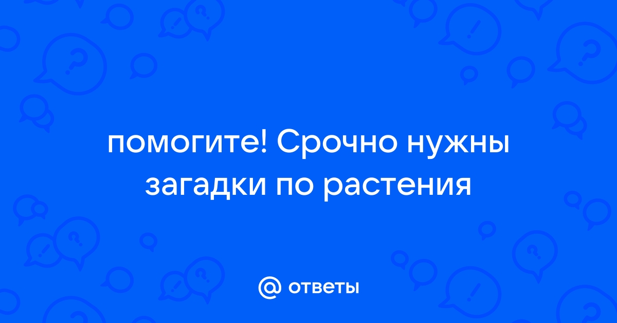 загадки про лето для дошкольников | Дзен