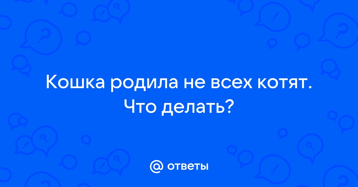 Домашняя кошка оттянутые роды и витамины