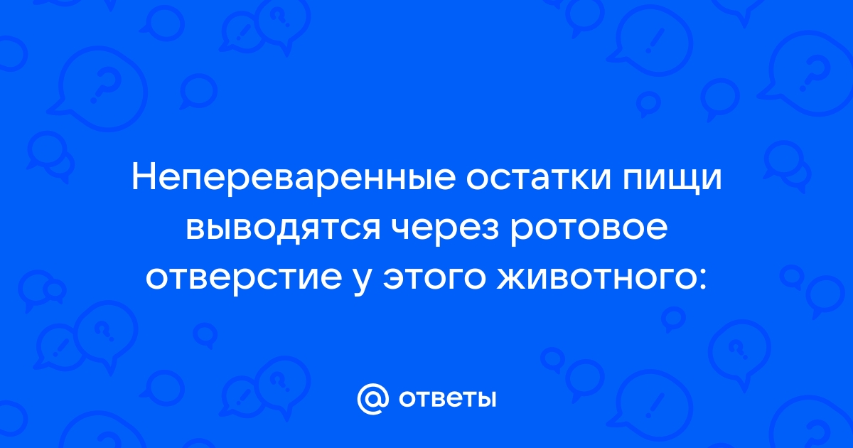 Непереваренные остатки пищи в стуле у ребенка