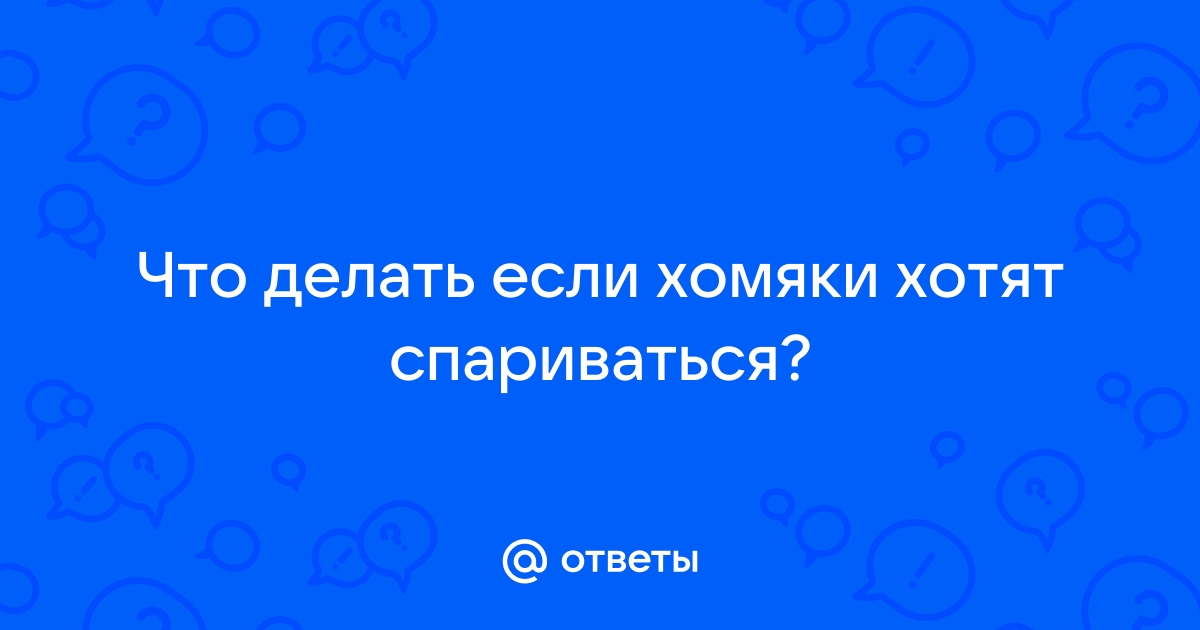 Можно ли держать 10 хомяков и не сойти с ума?