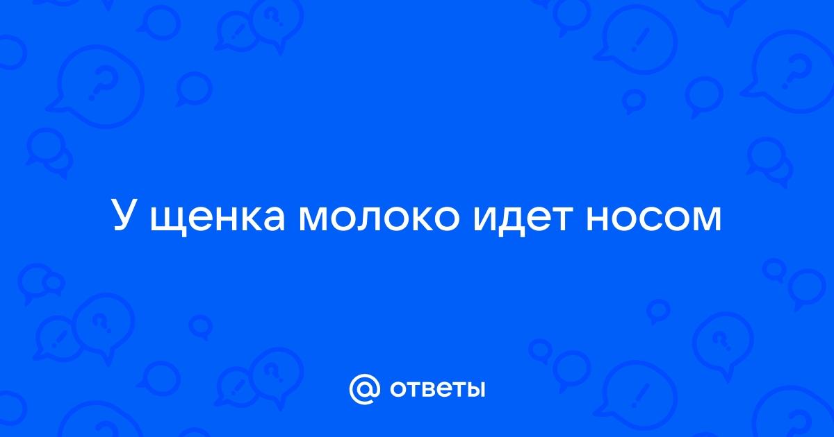 Пневмония у новорожденных щенков.