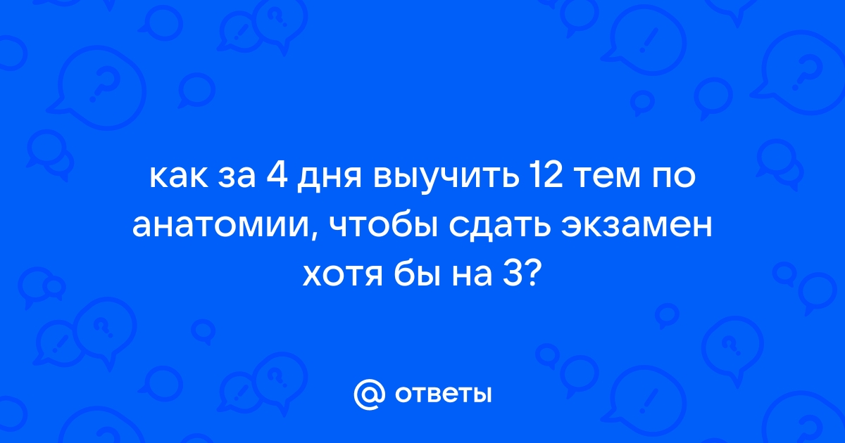 После окончания экзамена все переживания отходят на задний план и кажутся бессмысленными запятые