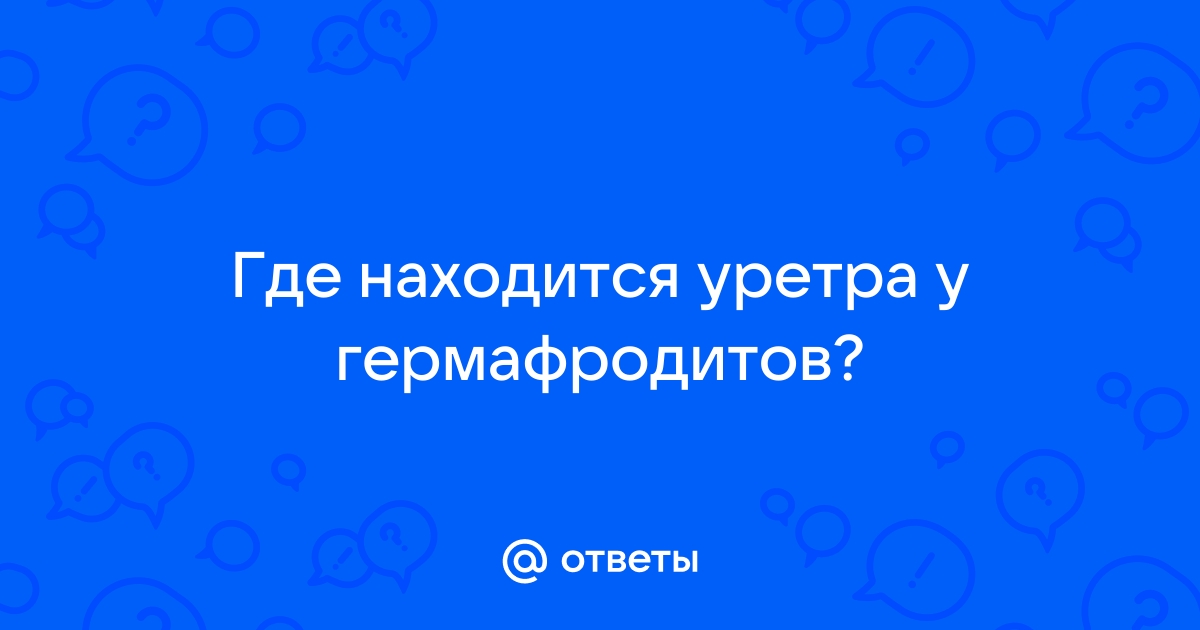 Девушка-гермафродит из Ростова — об отношениях и карьере модели - 7 марта - ру