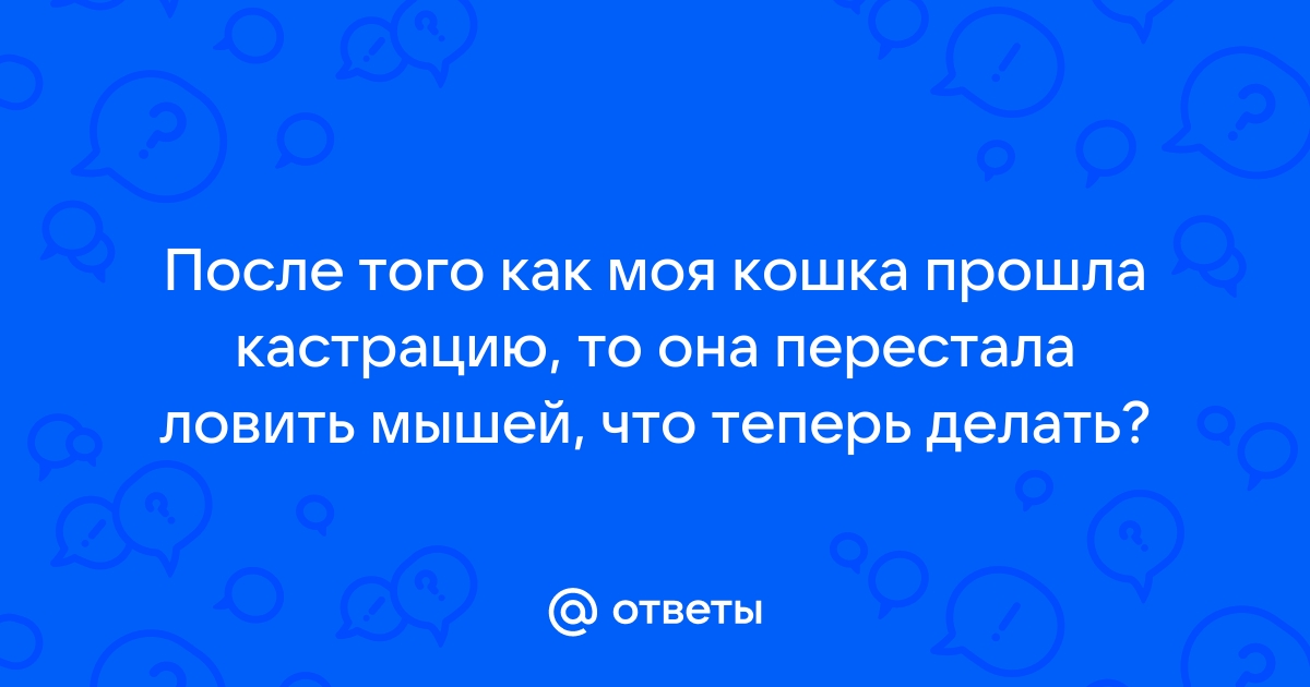 Кошка прошла по клавиатуре и теперь она не работает