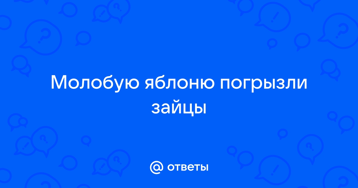 Яблоню повредили зайцы или другие грызуны: как спасти дерево от гибели