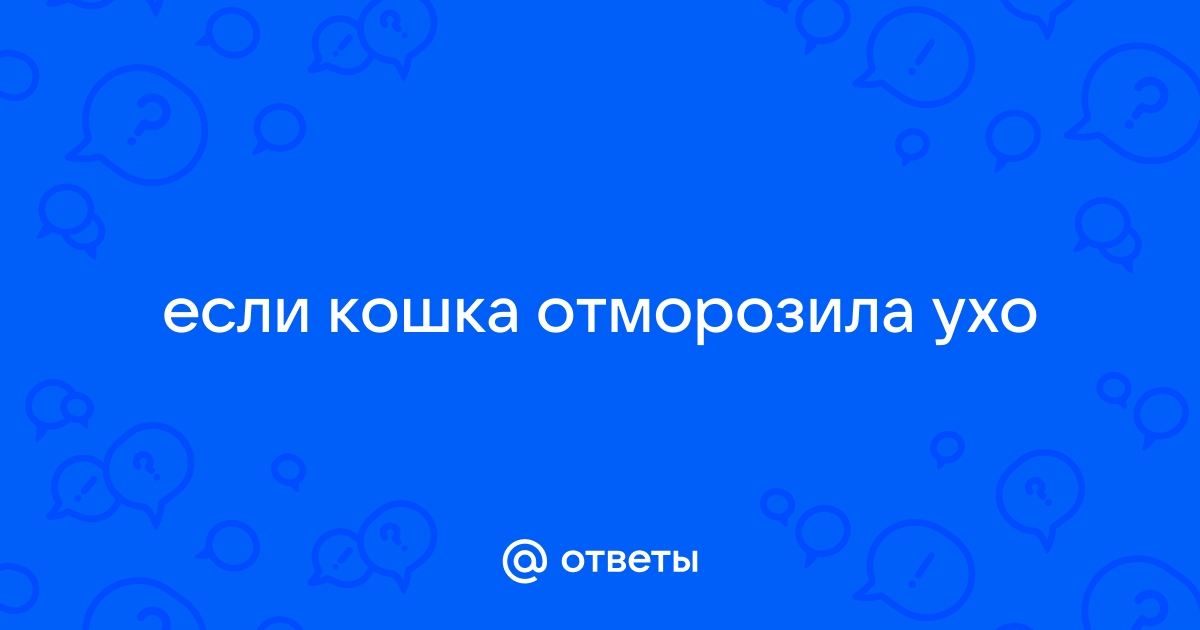 Что делать, если отморозил нос и уши | Саратов 24