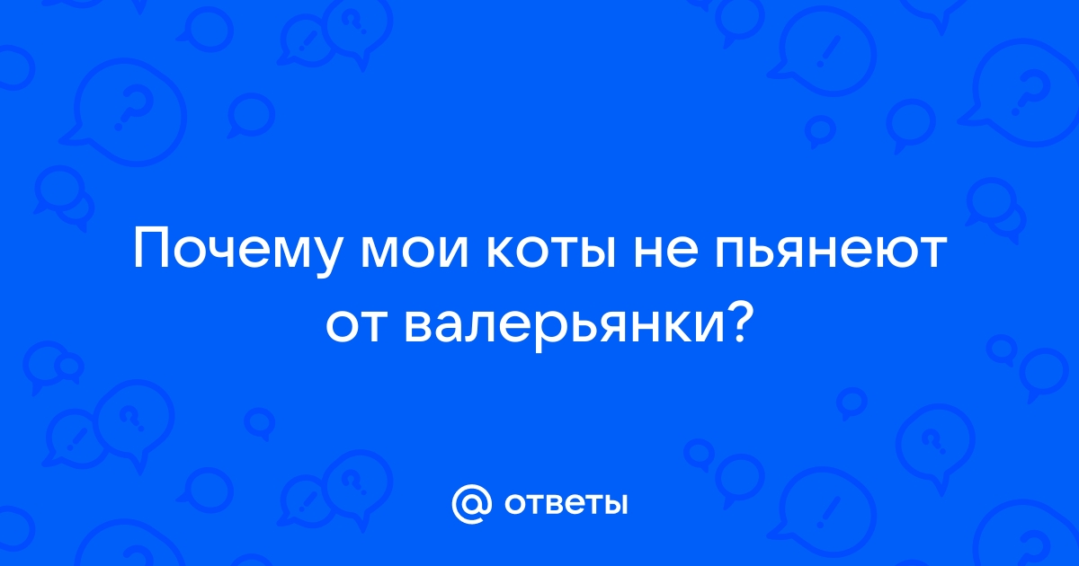 Ваша кошка любит валерьянку?