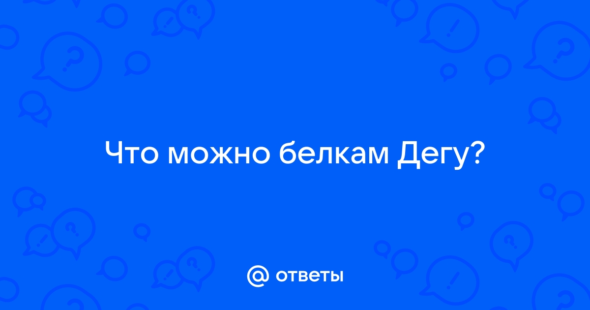 Самоделки для дегу