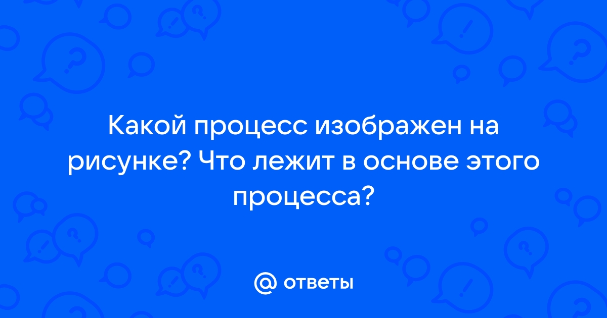 Какой процесс изображен на рисунке что лежит в основе этого процесса