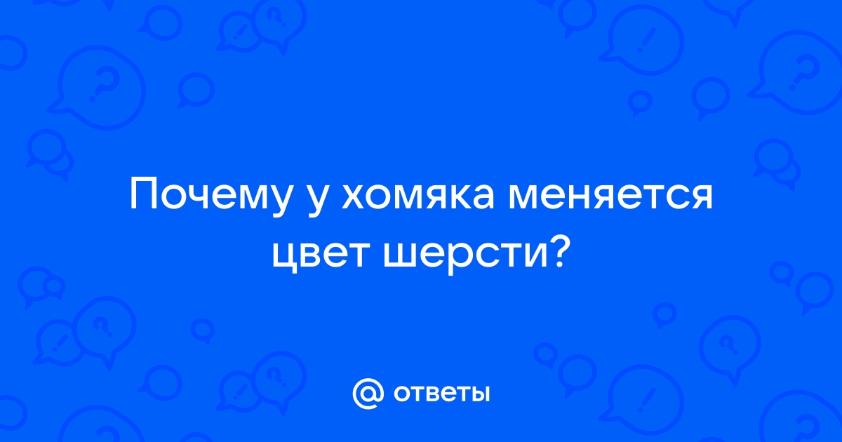 Які тварини змінюють колір шерсті на зиму?