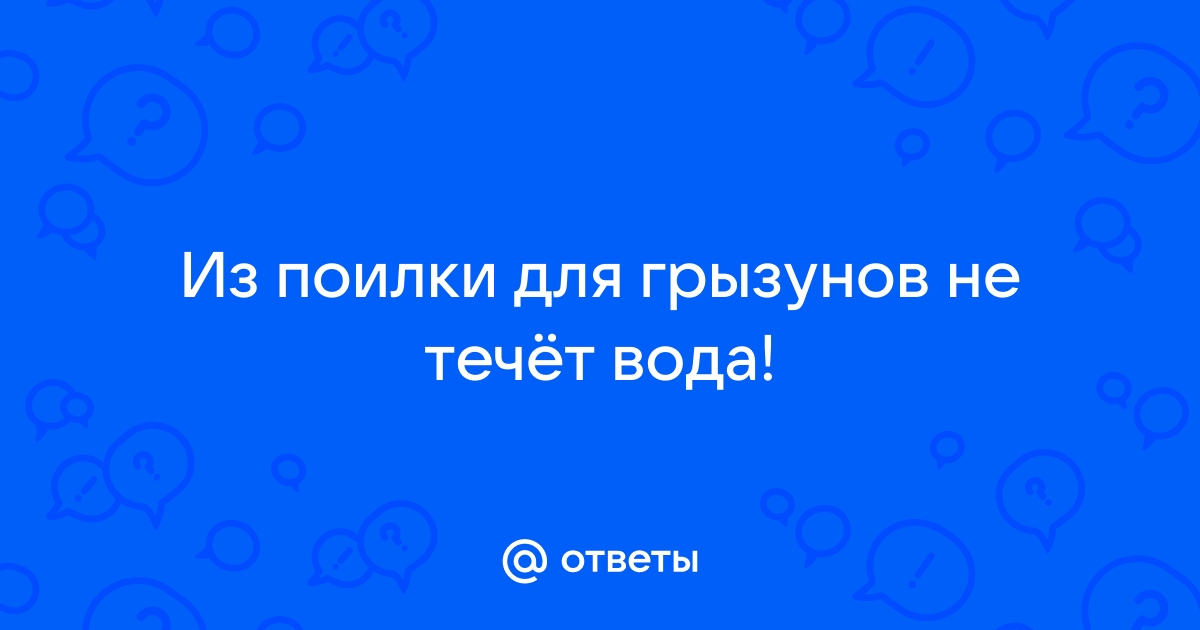 ФОРУМЫ для любителей канареек. • Просмотр темы - поилки шариковые для грызунов - подходят ли?