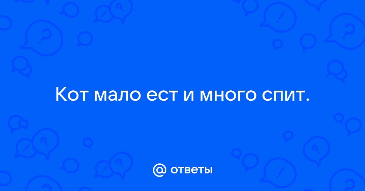 Ответы Mail: Кот стал больше спать, меньше есть.