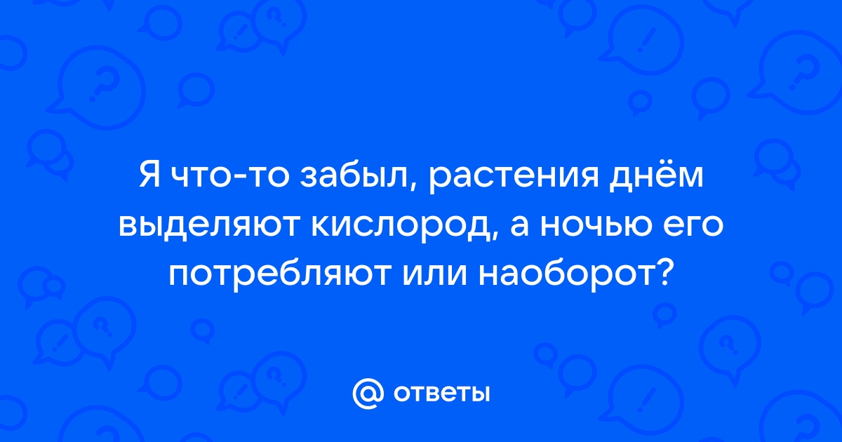 Дыхание растений: процесс, чем дышат и что выделяют