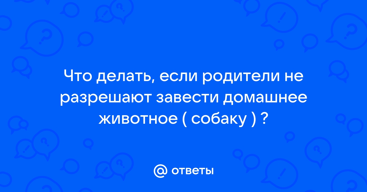 Как уговорить маму купить собаку?