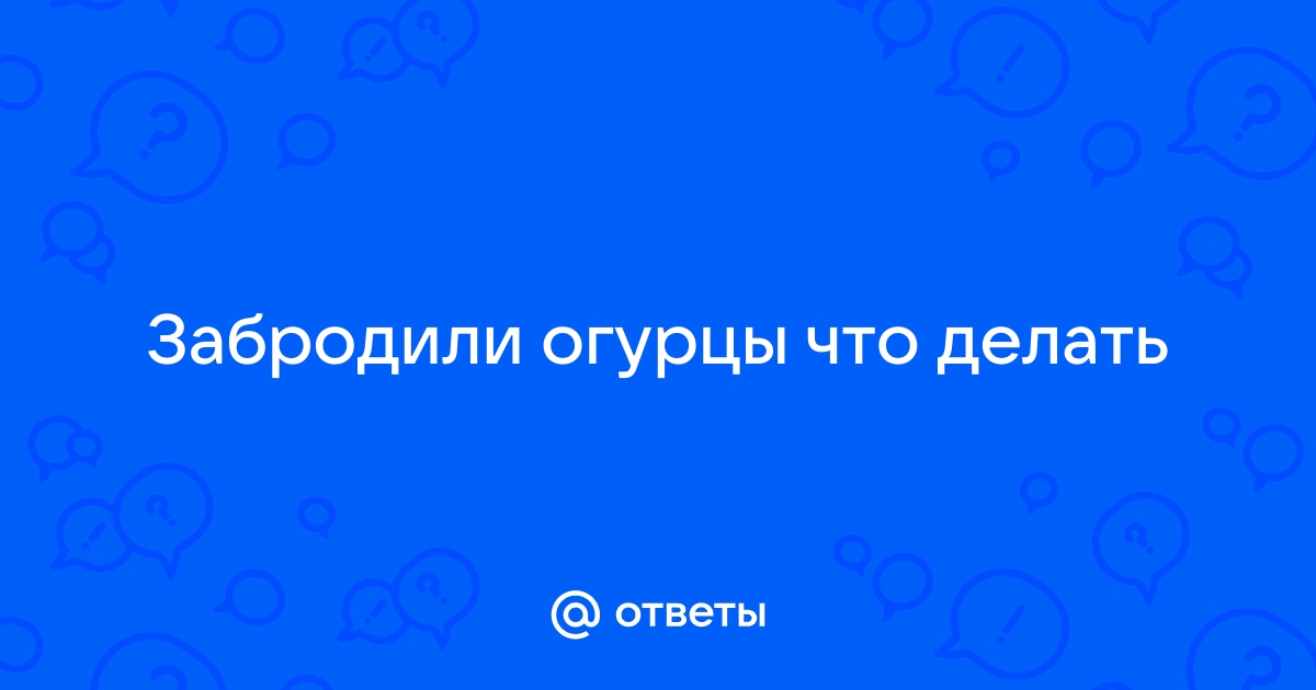 забродили малосольные огурцы