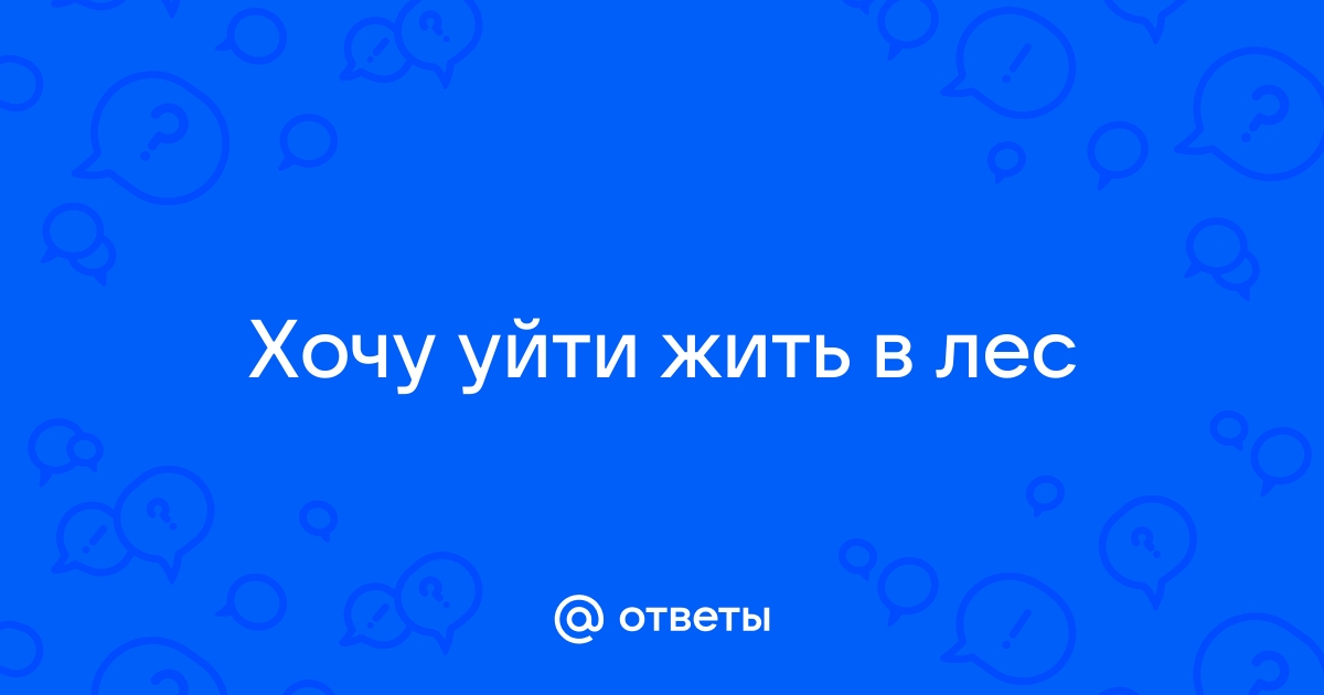 Как сходить в лес и выйти из него целым и невредимым? Правила поведения в лесу от Ekipland