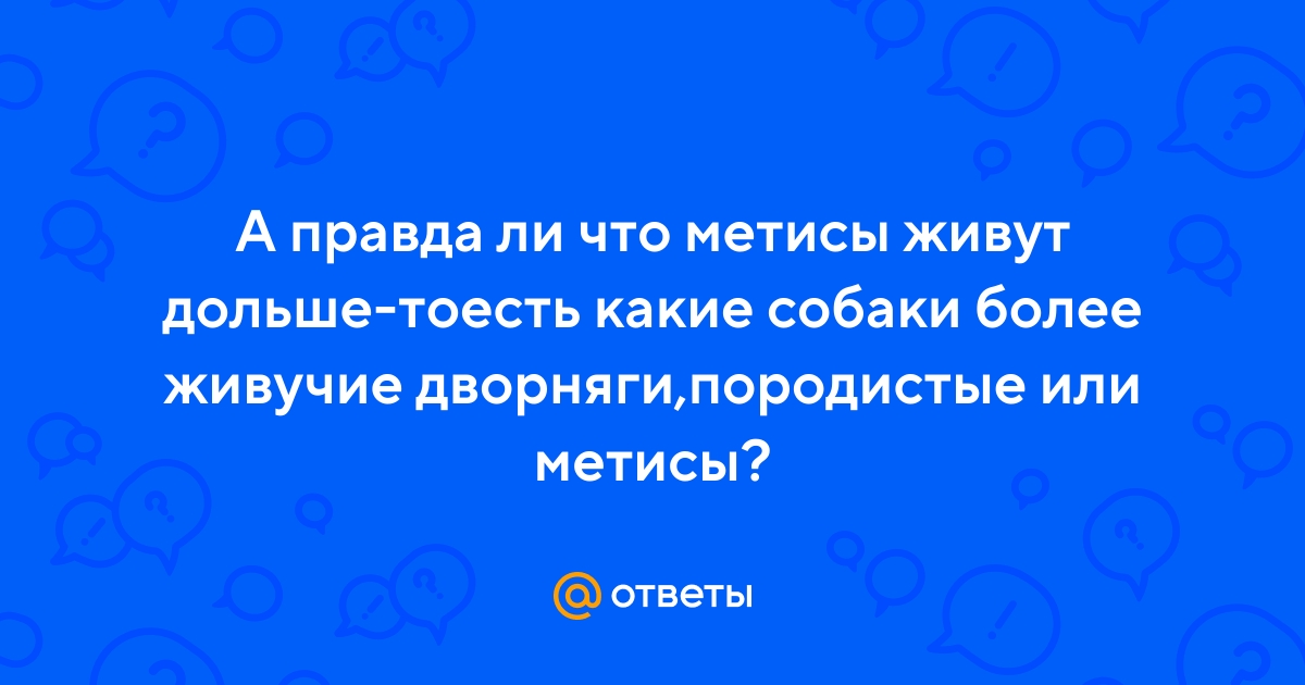 Ответы Mail.ru: А правда ли что метисы живут дольше-тоесть какие собаки  более живучие дворняги,породистые или метисы?