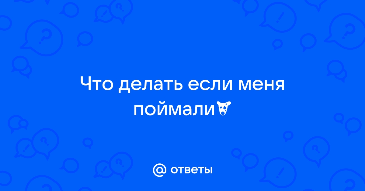 Фото: Ирена Понарошку рассказала, как ее почти изнасиловал дельфин - Российская газета