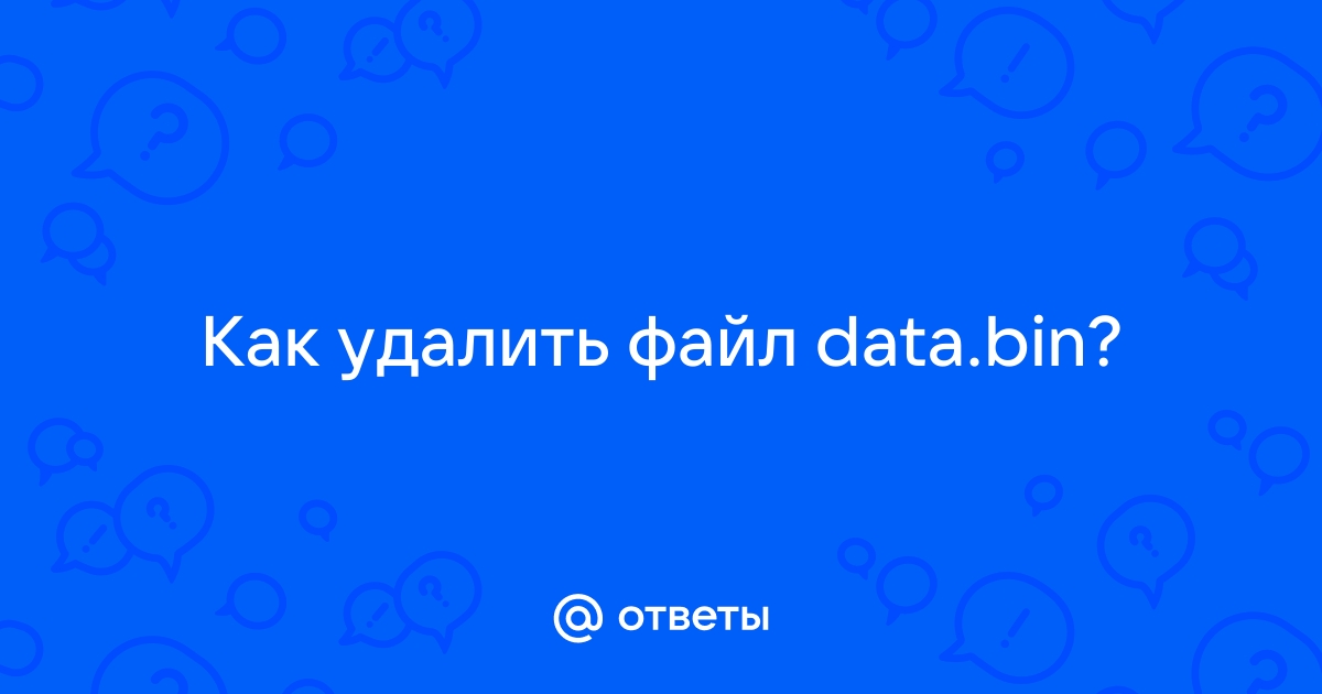 Зачем нужны файлы data bin