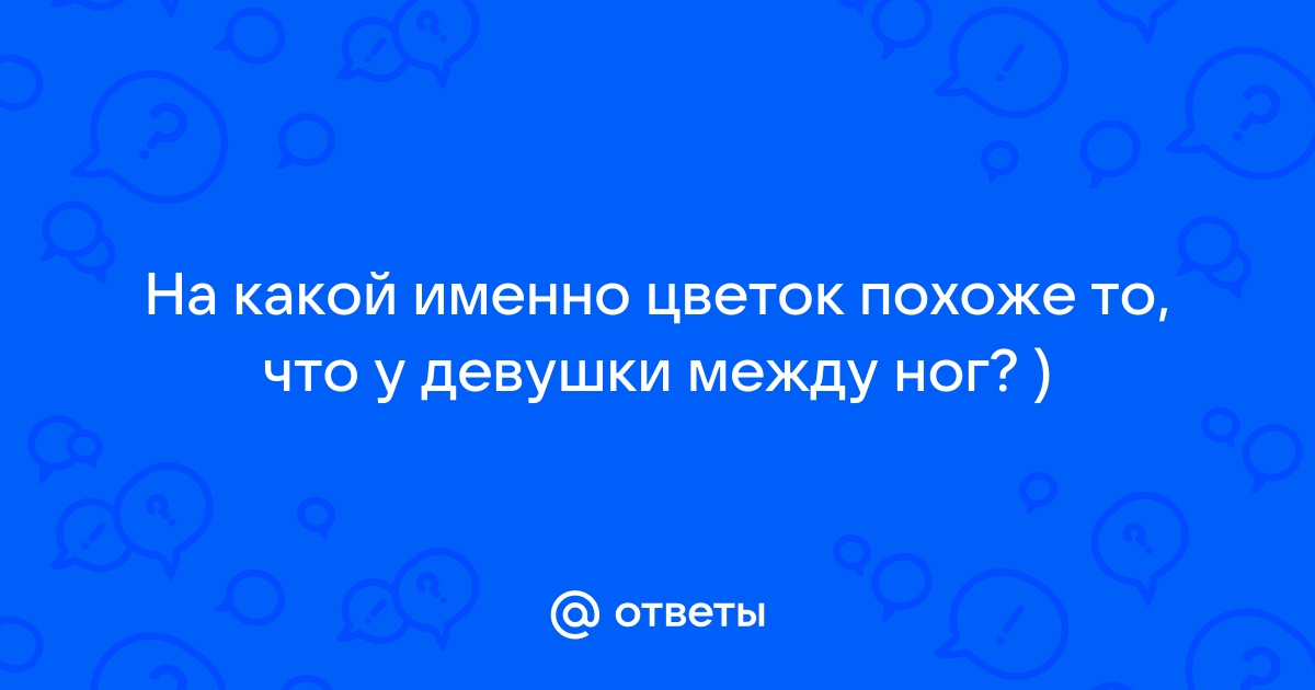 Виды женской обуви: список, название, фото и описание | обзор магазина sharikivrn.ru