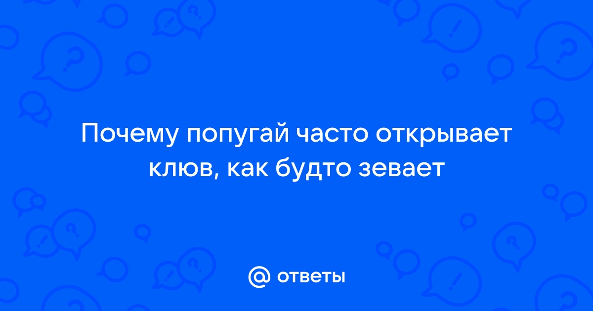 Как понять, что попугай заболел? Симптомы.