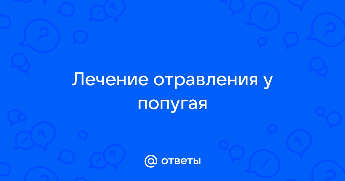 Отравление у попугаев