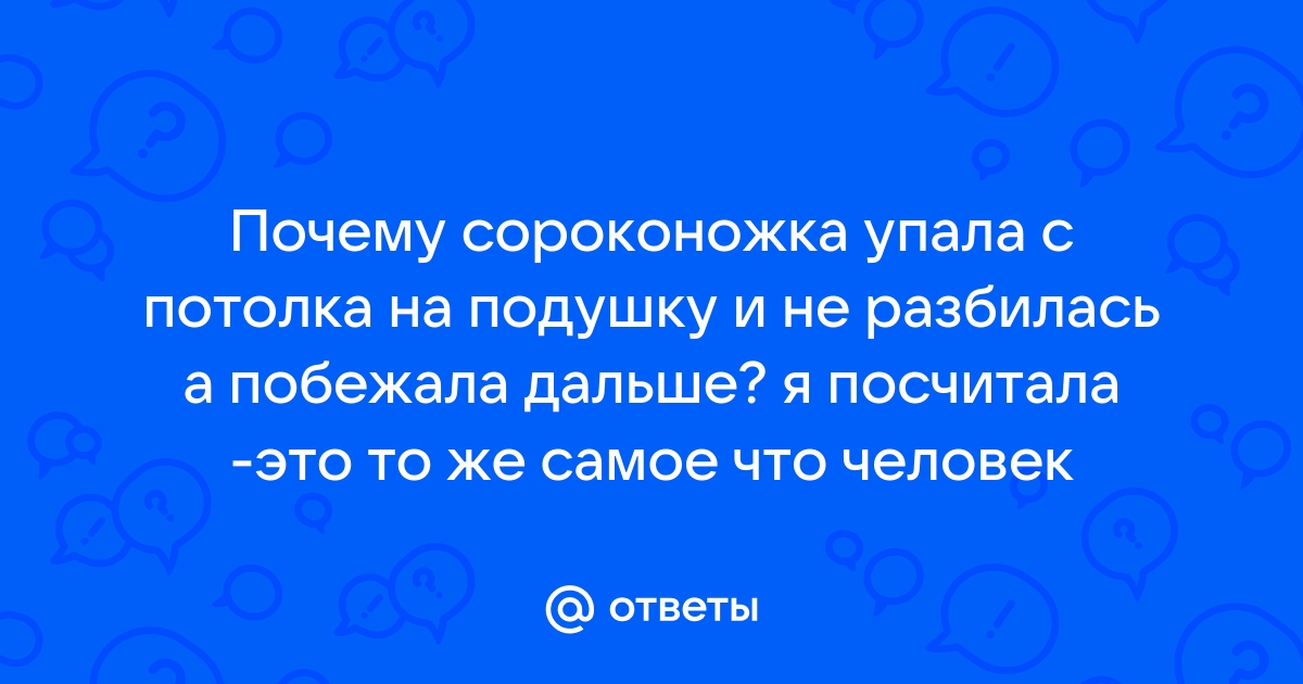 Сороконожка в доме народные приметы если увидеть в квартире убить