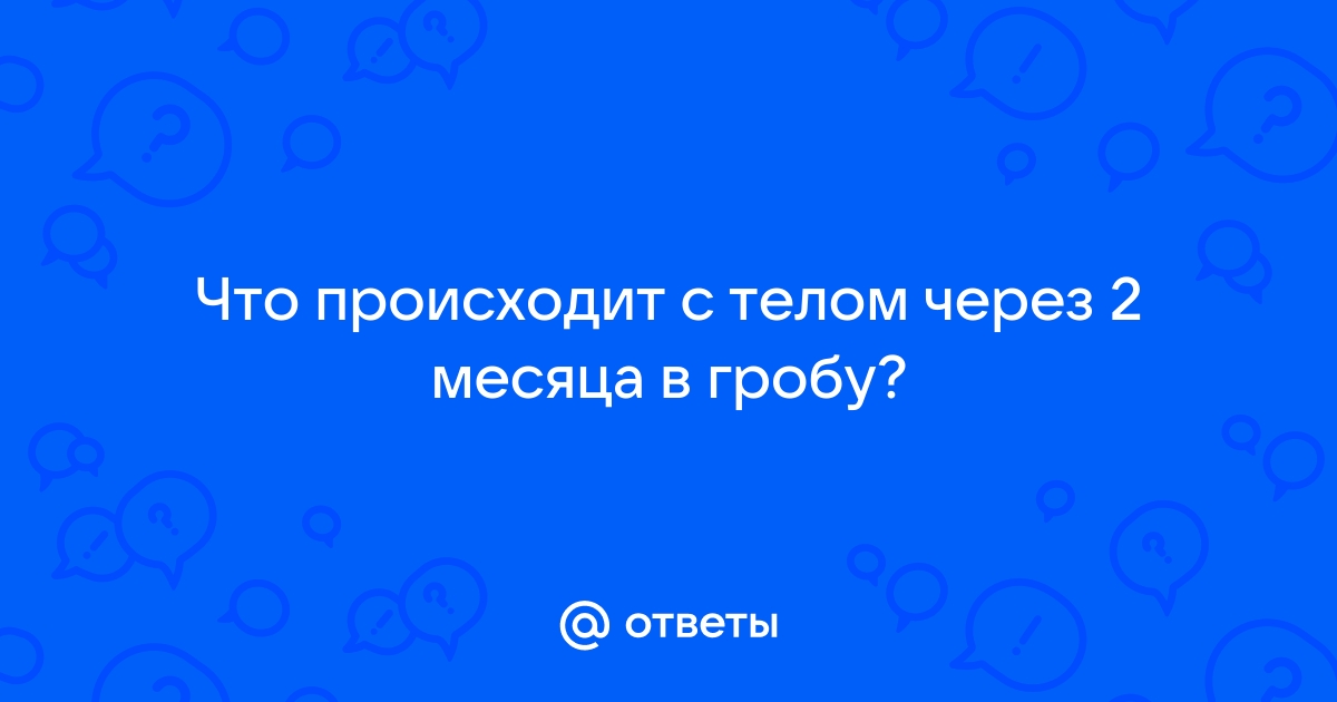 Что происходит с телом в гробу | VK