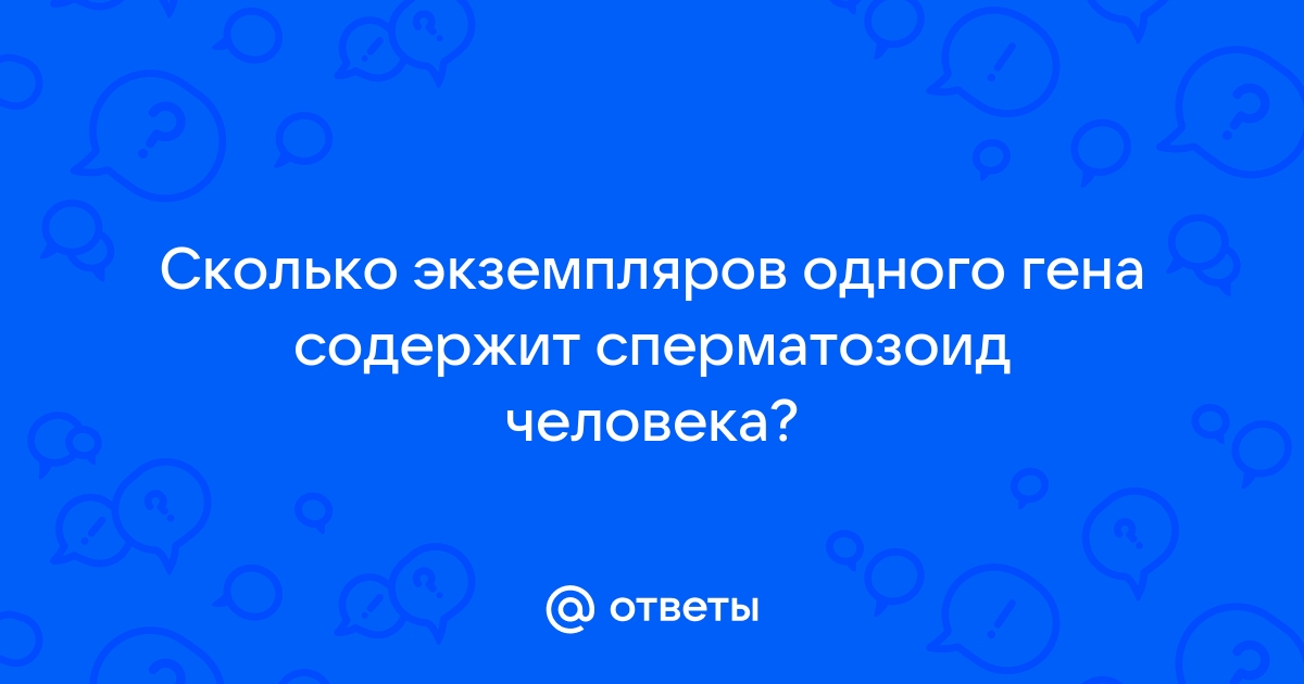 Заявка на получение справки отправлена.